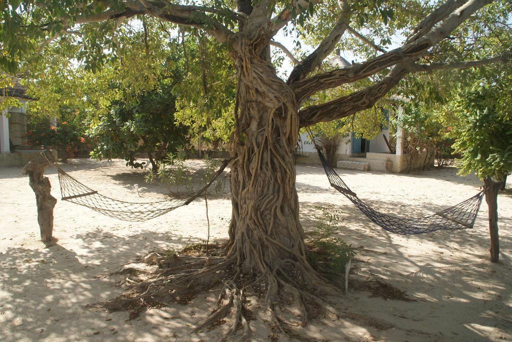 Bazouk Du Saloum Ecolodge Mar Lodj Szoba fotó